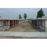 ؓ���L�C�Bֳ